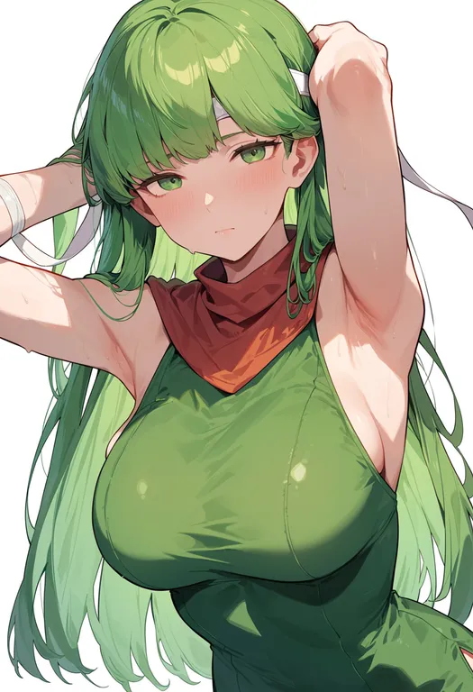masterpiece, best quality, score_7, safe, palla (fire emblem), fire emblem, solo, upper body, simple background — by k3scat, made with ComfyUI