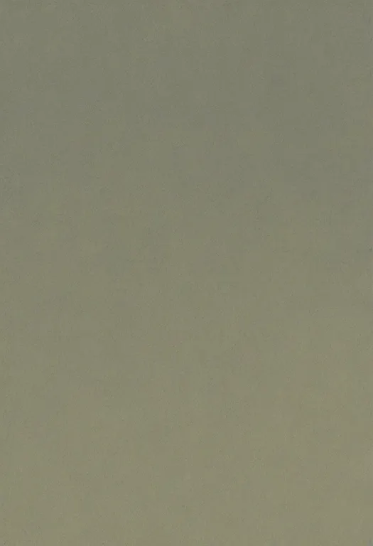 masterpiece, best quality, general, haibane renmei, solo, simple background — by k3scat, made with ComfyUI